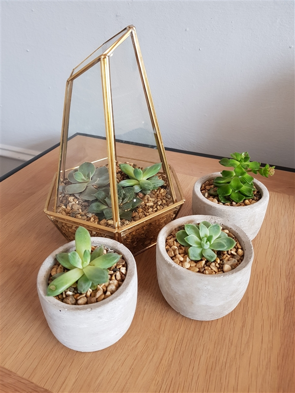 ����S8���նԱ�iPhone 7�����޺���ʵ��ѡ˭��