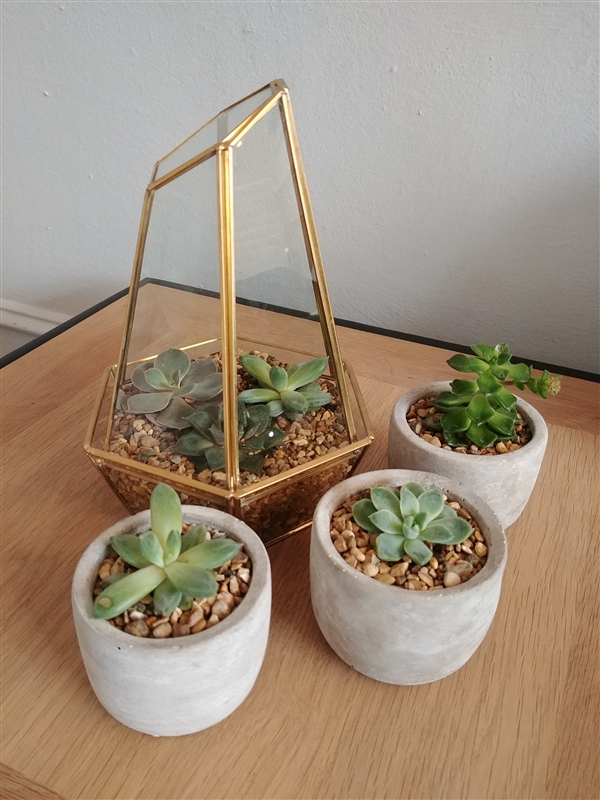 ����S8���նԱ�iPhone 7�����޺���ʵ��ѡ˭��