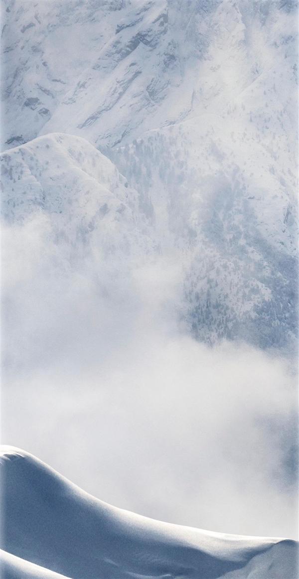 ��ǿ���ʣ�����S8Ĭ�ϱ�ֽ��ȫ����������