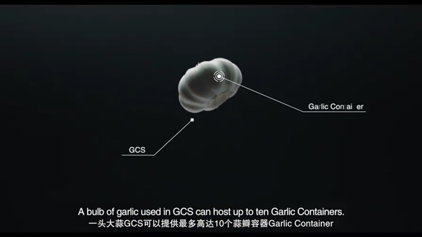 ��������Ƽ�����ζ�����Ƽ��⣡