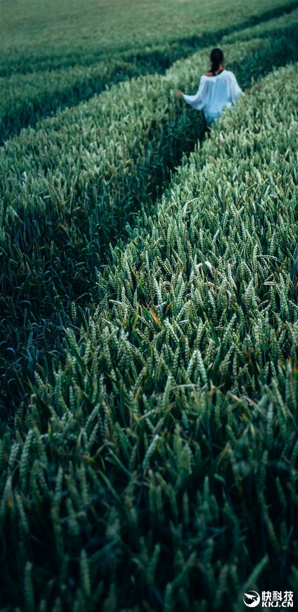 һ������S8/S8+�����ֽ����������18��9��