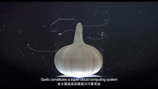 ��������Ƽ�����ζ�����Ƽ��⣡