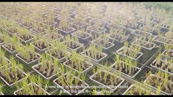 ��������Ƽ�����ζ�����Ƽ��⣡