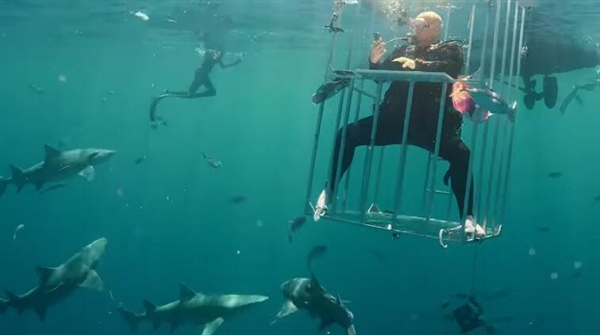 ����S8ˮ�¿��䣺��Ȼ����������Ⱥ