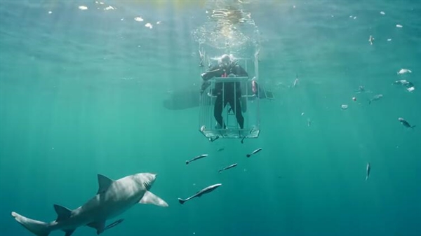 ����S8ˮ�¿��䣺��Ȼ����������Ⱥ