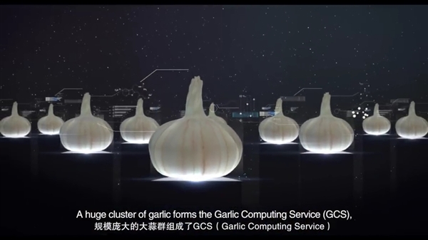 ��������Ƽ�����ζ�����Ƽ��⣡