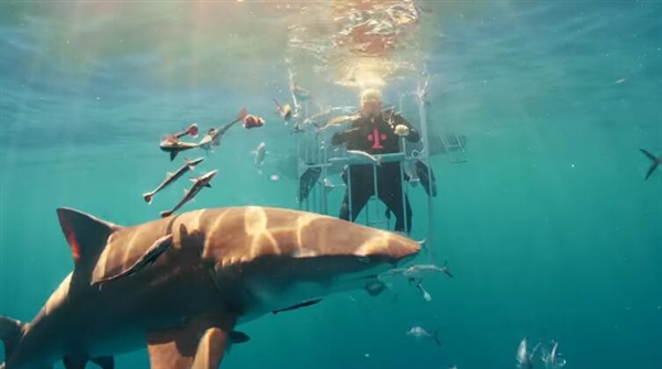 ����S8ˮ�¿��䣺��Ȼ����������Ⱥ