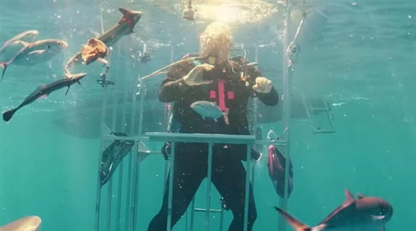 ����S8ˮ�¿��䣺��Ȼ����������Ⱥ