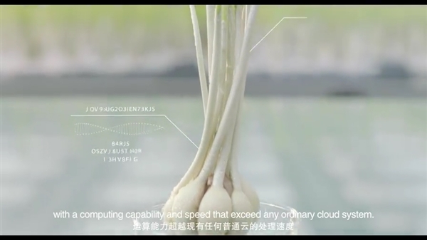 ��������Ƽ�����ζ�����Ƽ��⣡