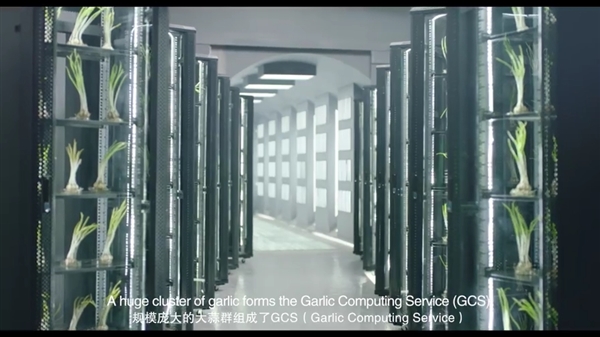 ��������Ƽ�����ζ�����Ƽ��⣡