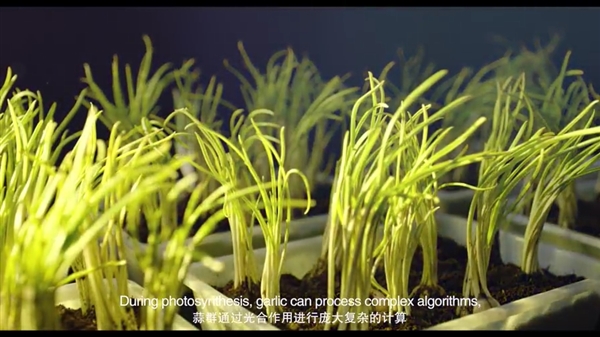 ��������Ƽ�����ζ�����Ƽ��⣡