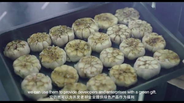 ��������Ƽ�����ζ�����Ƽ��⣡