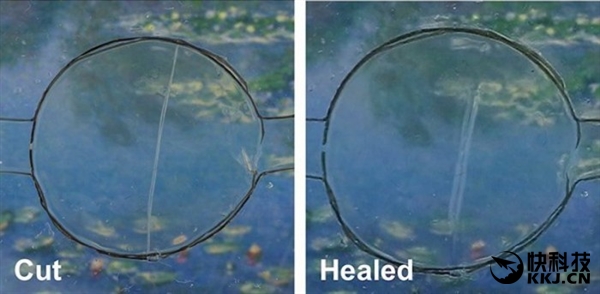 �����״Σ���ѧ�ҷ��������ֻ���Ļ���ϣ�2020��ǳ�