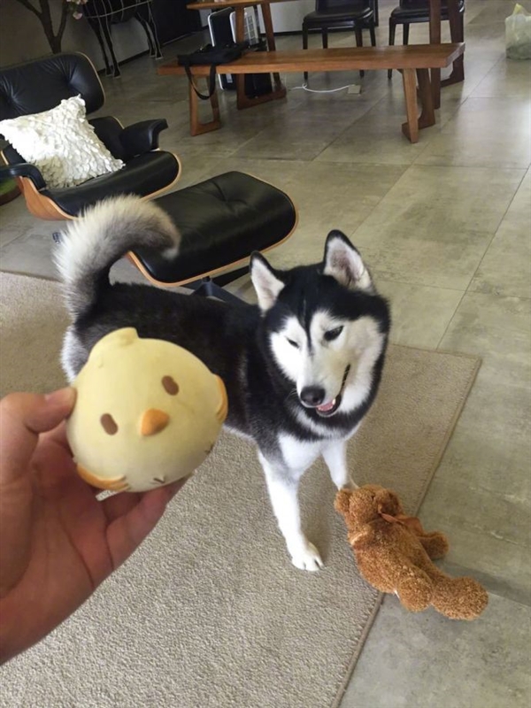 Ů������������Ƭ ���Ա�APP����