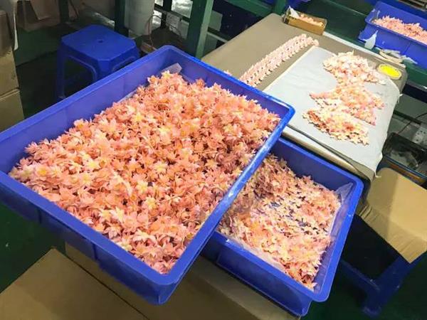 �ɽ�������ְ칤����̽���ڼ���Ů������