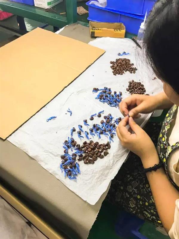 �ɽ�������ְ칤����̽���ڼ���Ů������