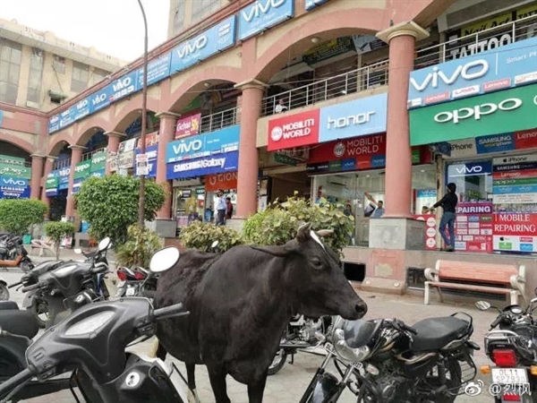 OPPOvivoжţӡȽֵȫ