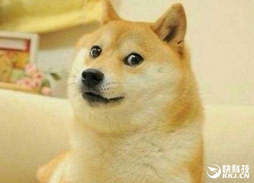 ��Ʒ���ֻ��û�������ɶ���飿iPhone����������