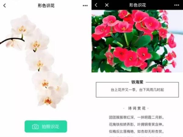 �⼸���Զ���ʵ�õ�С���� ��һ��Ҫ����