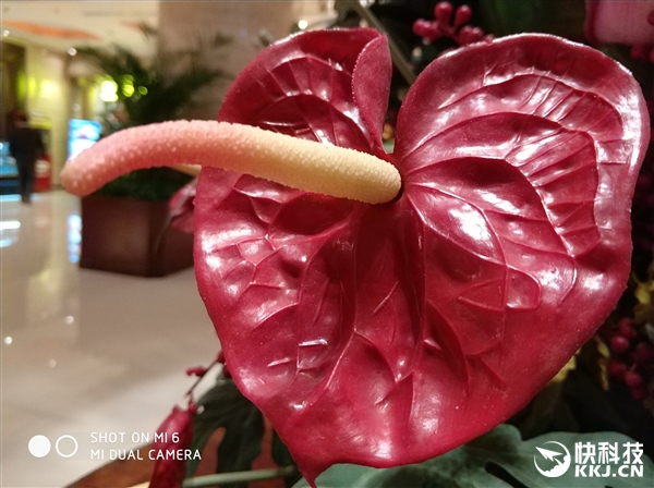 С��6���졢����ʵ�����ţ�˫�㱳���黯�޵�