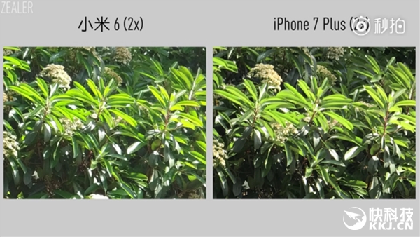 2499Ԫ��ֵ����������������С��6���������