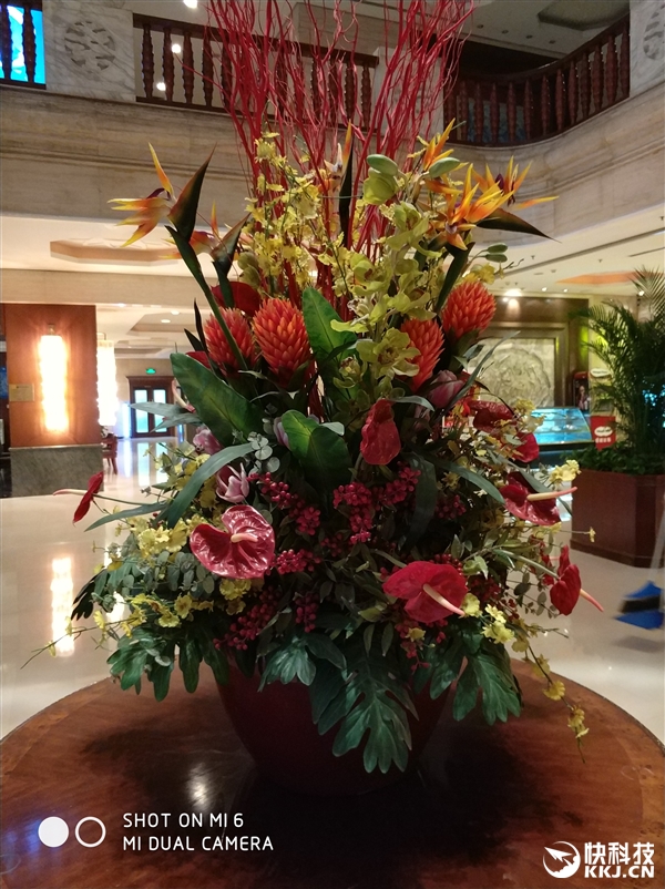 С��6���졢����ʵ�����ţ�˫�㱳���黯�޵�