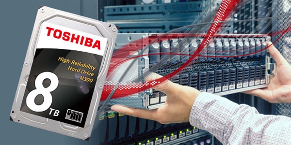 NAS���䣡��֥����N300��е�̣����8T����������