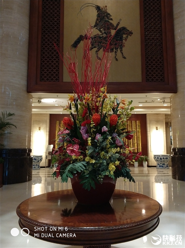 С��6���졢����ʵ�����ţ�˫�㱳���黯�޵�