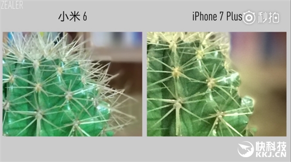 2499Ԫ��ֵ����������������С��6���������