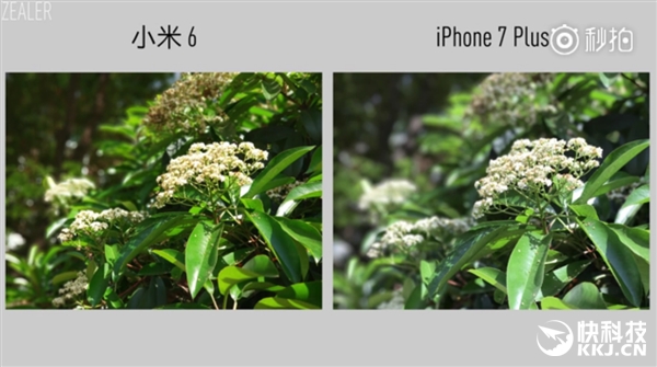 2499Ԫ��ֵ����������������С��6���������