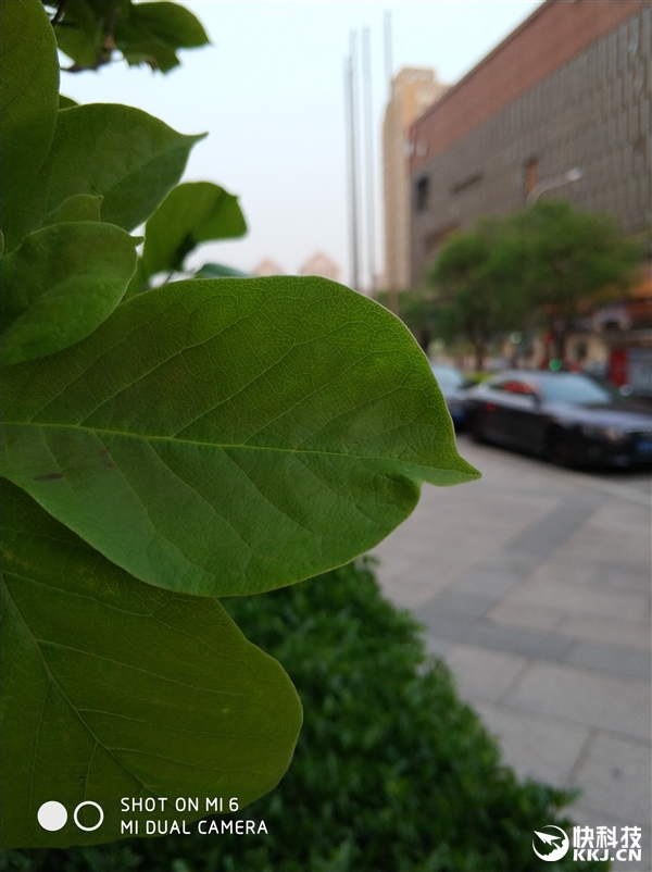 С��6���졢����ʵ�����ţ�˫�㱳���黯�޵�