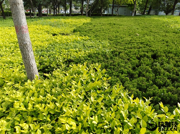 ��Ϊ����7 Plus���ţ������黯������