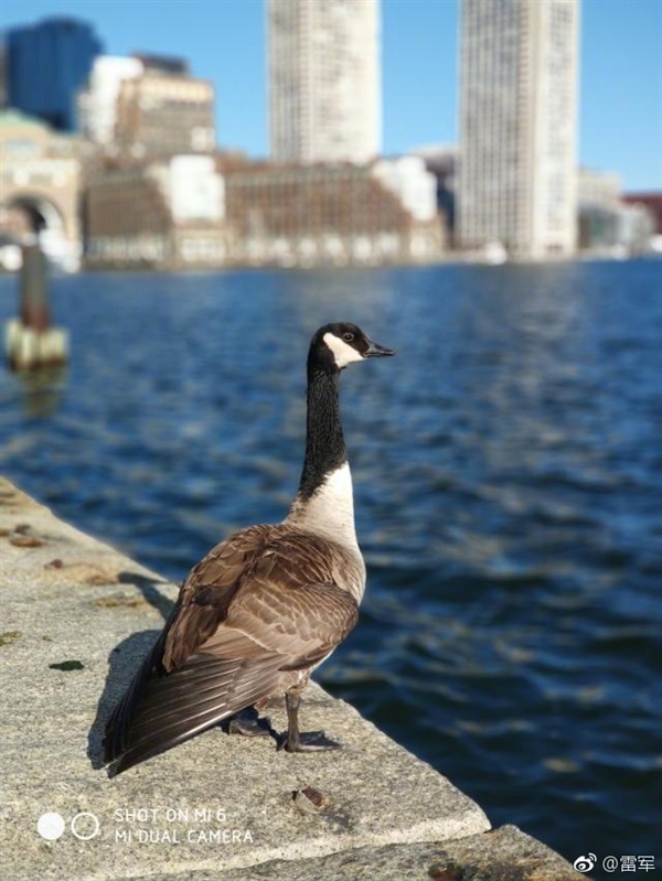 �׾���С��6˫���ѧ�佹��������ʲô��