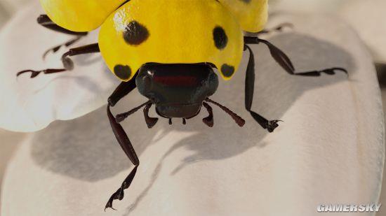 ��Ы�����ʵ����ж�ǿ��΢��������Ч��ͼ