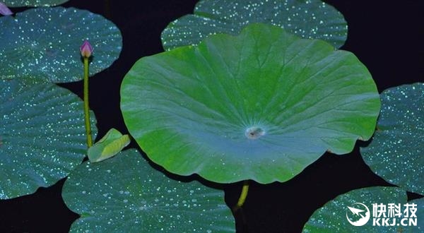 �ֻ����Ͳ�������ˣ�����E2Ҳ����������