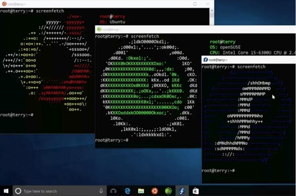 ΢УLinuxϵͳ½Windows 10ֱӰװ