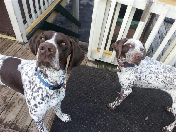 ֻ�����һ���� �����վ�������ס��ȫ��