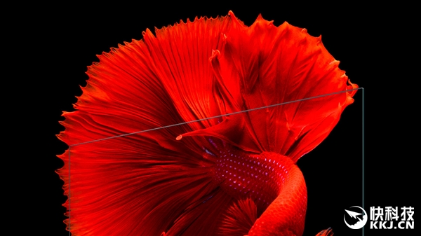 4.9���׼�����һͼ����С�׵���4��65��9999Ԫ