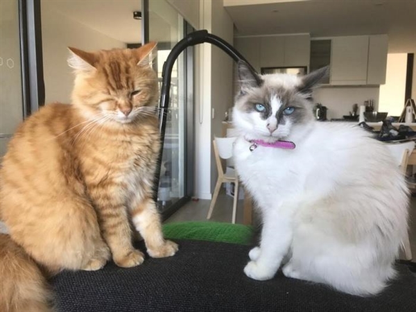 ֻ�����һ���� �����վ�������ס��ȫ��