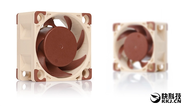 èͷӥ����ȫ��Aϵ��ɢ������20cm����� ���紦��