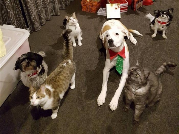 ֻ�����һ���� �����վ�������ס��ȫ��