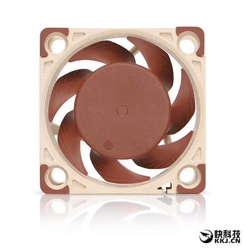 èͷӥ����ȫ��Aϵ��ɢ������20cm����� ���紦��