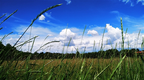 ׾СMax 2գ콢ˮ׼ С6