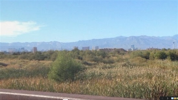 ����Ʒ�ɳ�20����ͼ���������������ܳ����� 