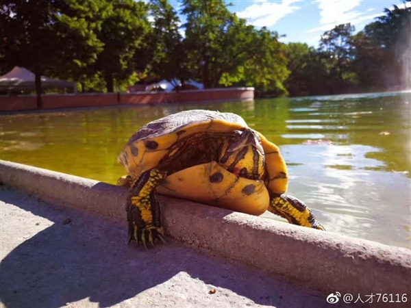 ⿨磡Ϊҫذ콢ˣȫ+˫