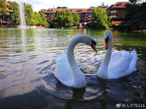 ⿨磡Ϊҫذ콢ˣȫ+˫