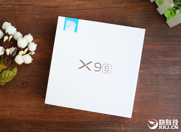vivo X9sͼͣСĺÿ