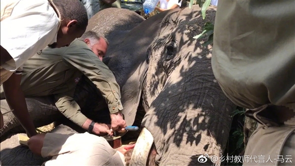 ����Ϊ���޴������������ݡ�����ȫ��֮�Ⱥ�