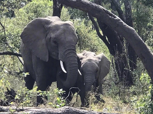 ����Ϊ���޴������������ݡ�����ȫ��֮�Ⱥ�