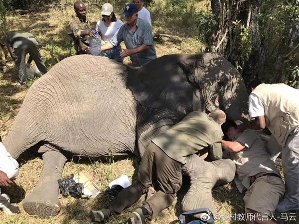 ����Ϊ���޴������������ݡ�����ȫ��֮�Ⱥ�